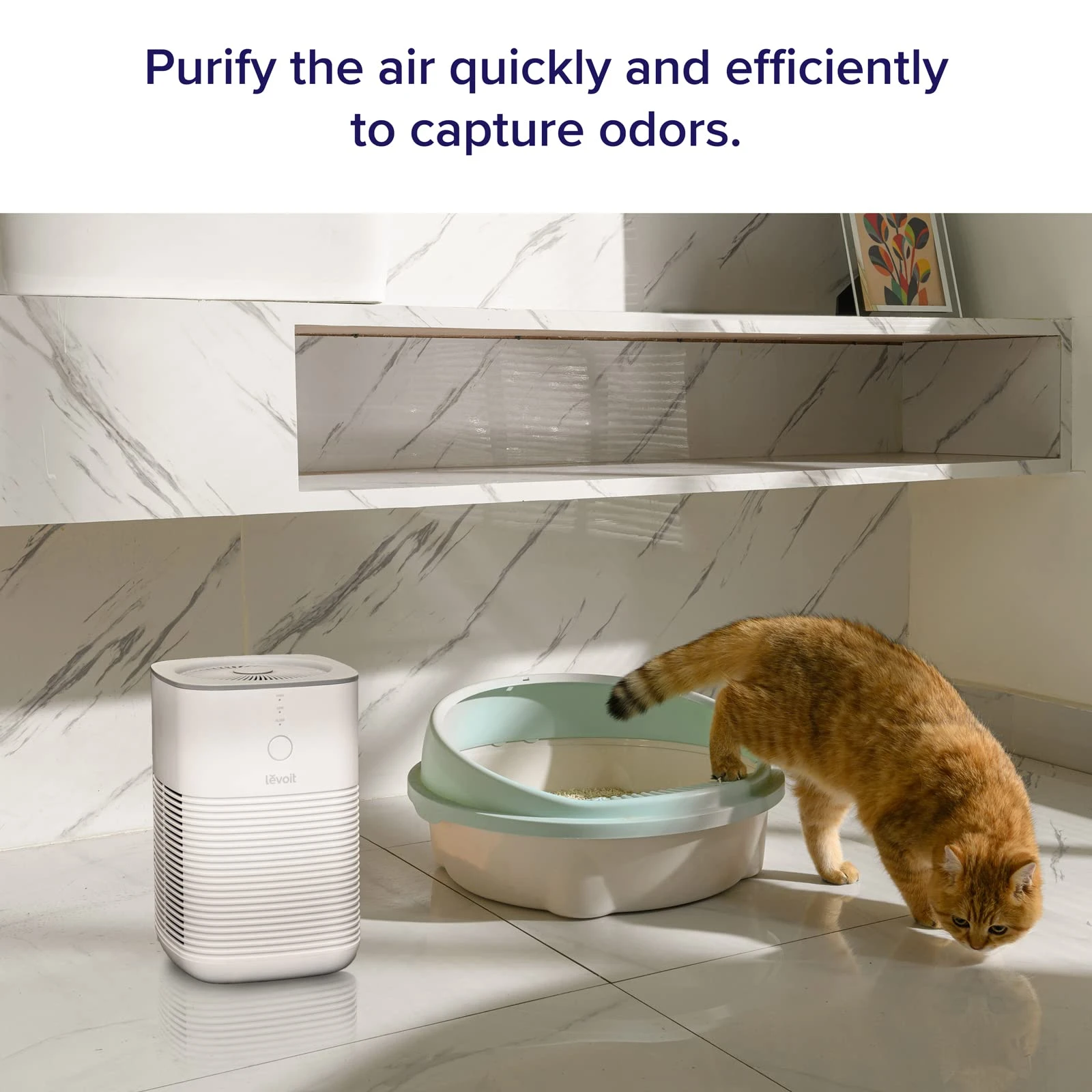 Levoit Air Purifier True HEPA Dual-Filter with store Aromatherapy for Small Room