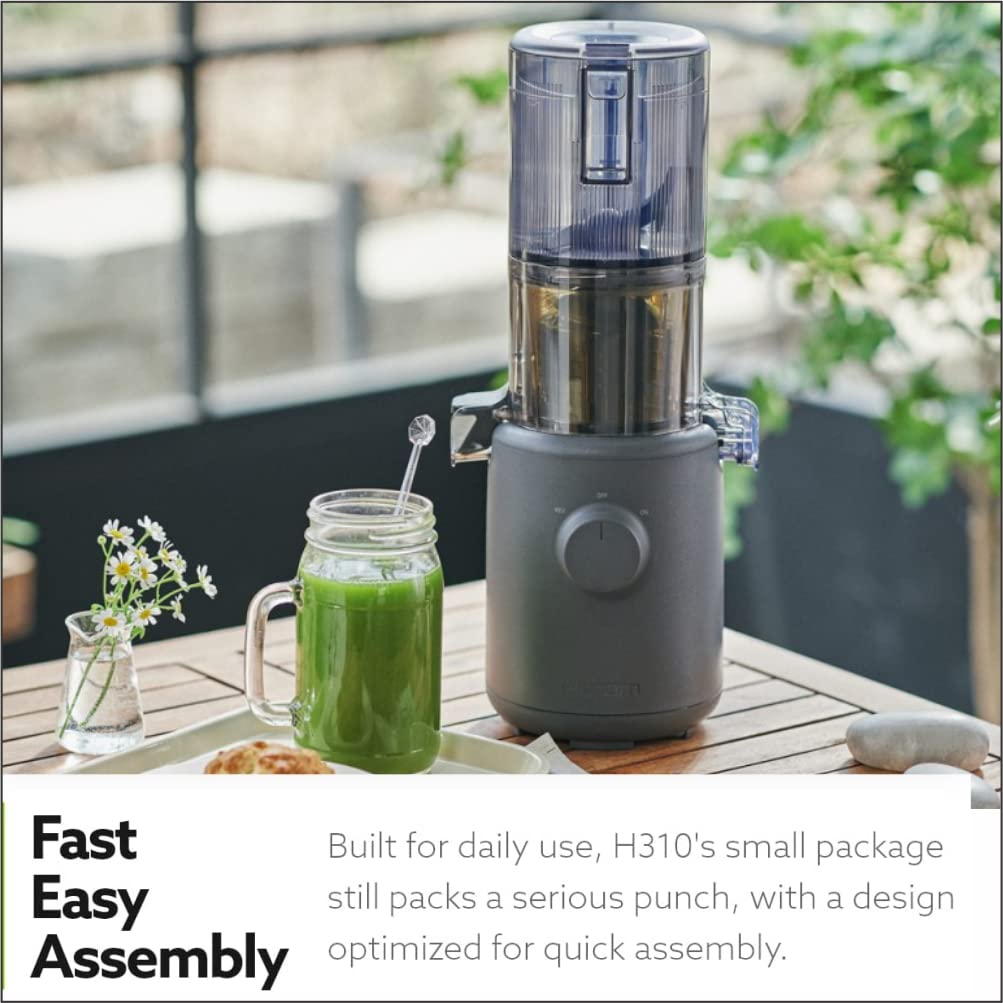 Hurom H310A SelfFeeding Cold Press Whole Slow Juicer Allin1 multi