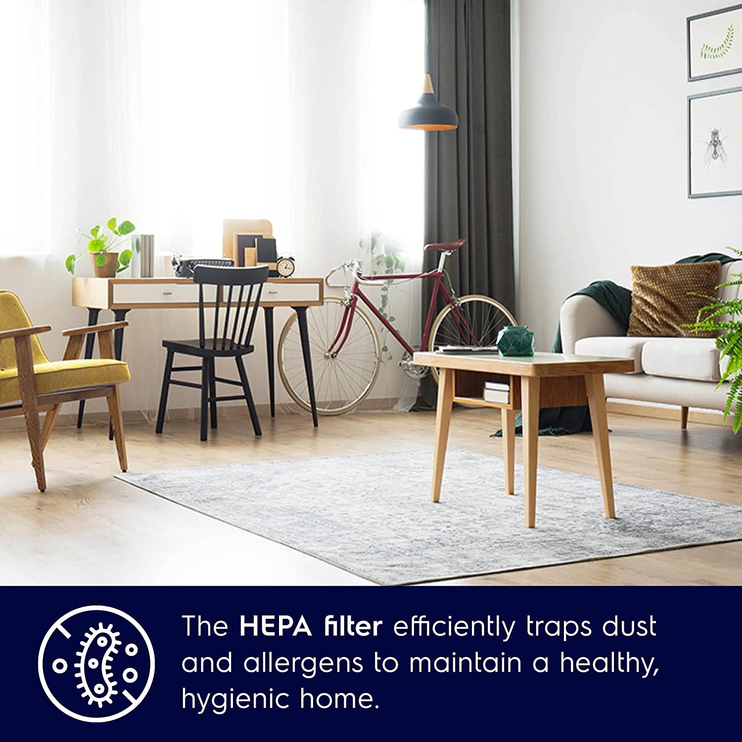 Electrolux Z1231WR Compact Go canister vacuum cleaner